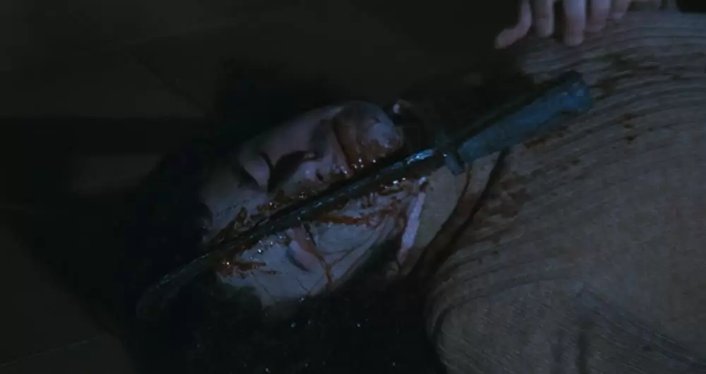 血みどろの入江の画像