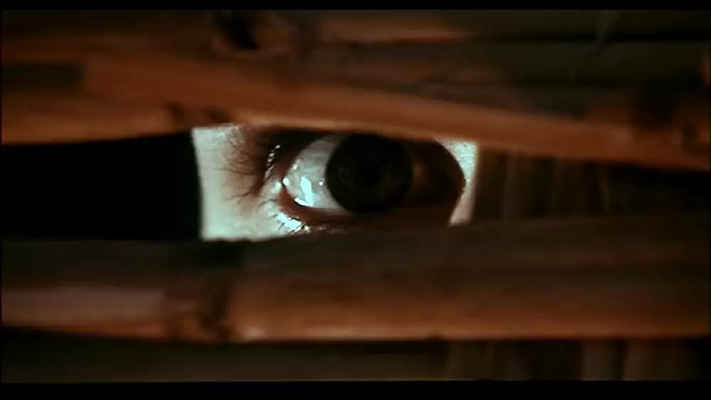 血みどろの入江の画像