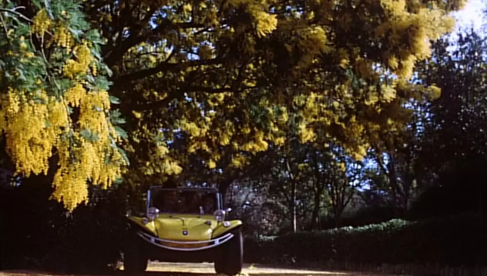 血みどろの入江の画像