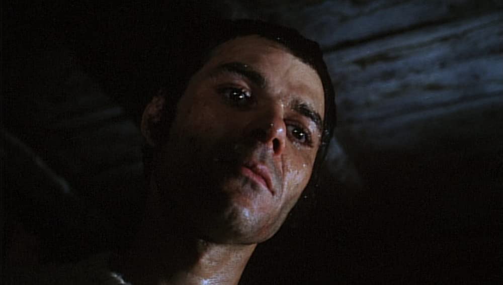 血みどろの入江の画像