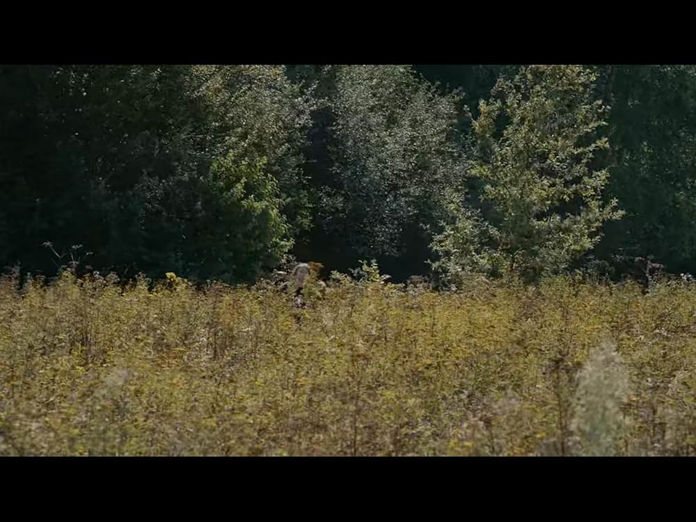 グッバイ、サマーの画像