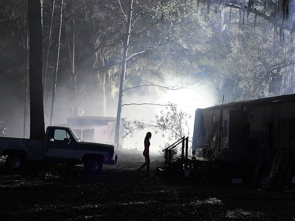 ガルヴェストンの画像