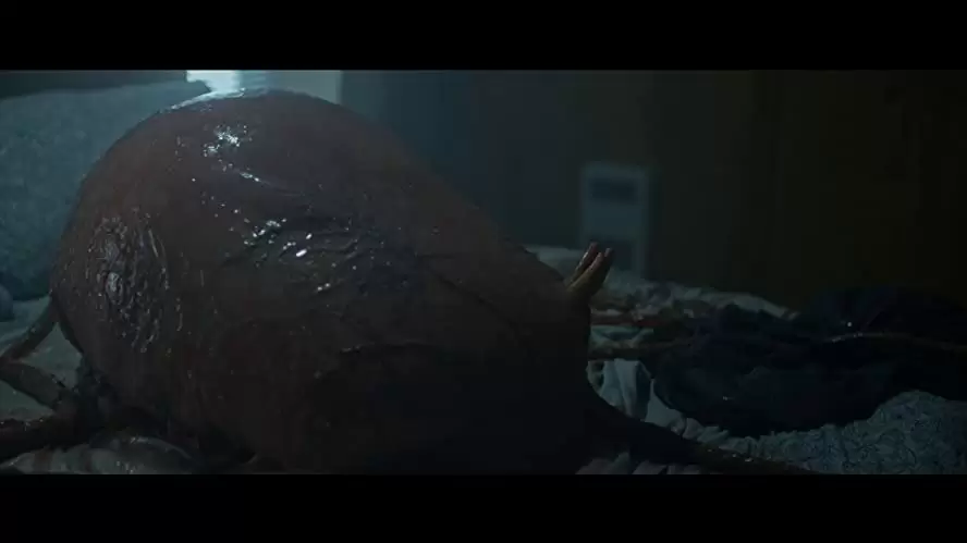 寄生体XXX／スキンウォーカーの画像