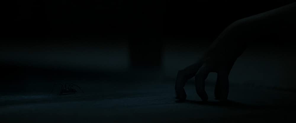 ホール・イン・ザ・グラウンドの画像