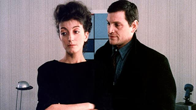 満月の夜の画像