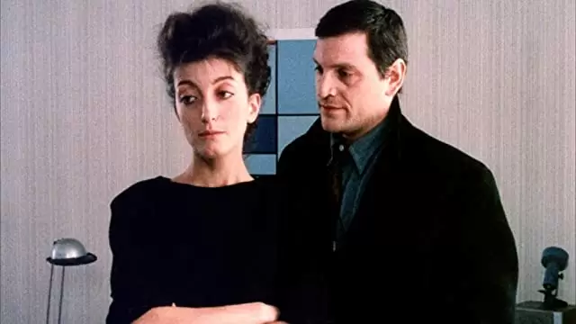 満月の夜の画像