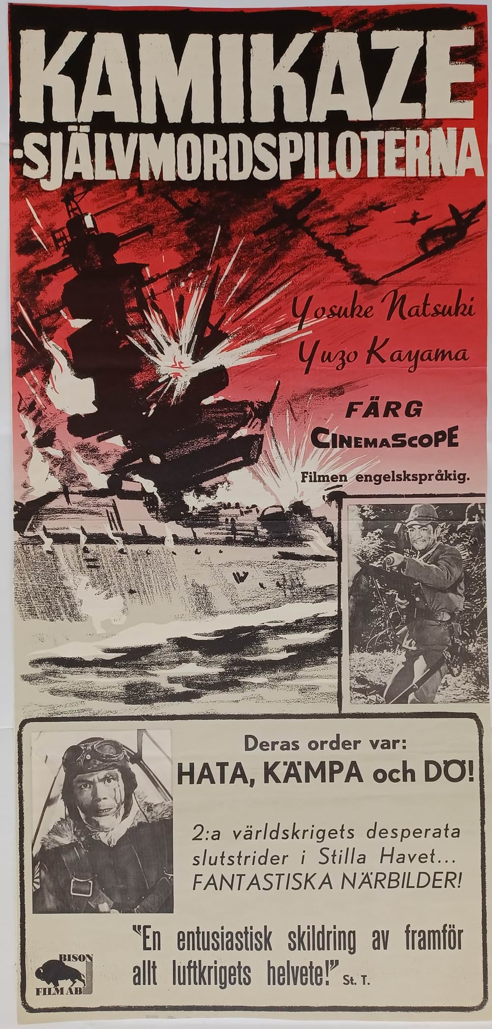 太平洋の翼の画像