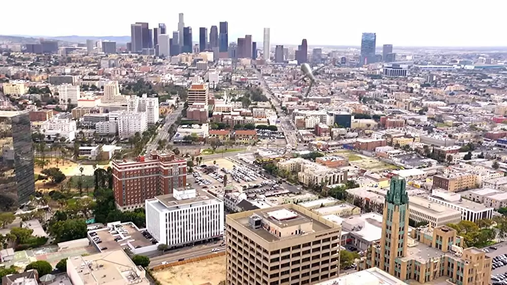 MEGA SPIDER メガ・スパイダーの画像