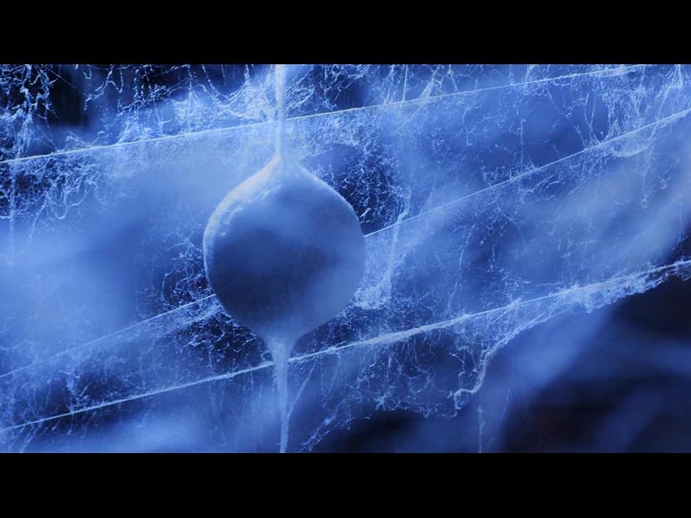 MEGA SPIDER メガ・スパイダーの画像