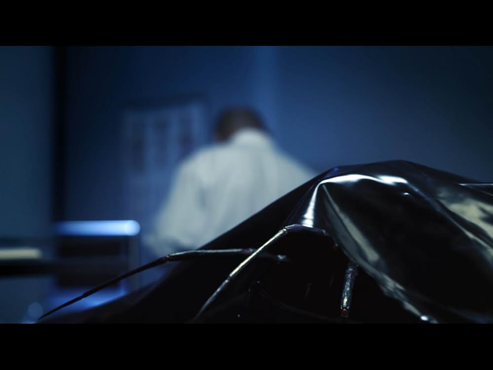 MEGA SPIDER メガ・スパイダーの画像