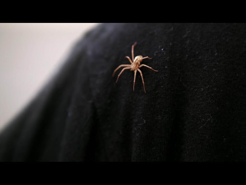 「MEGA SPIDER メガ・スパイダー」の画像