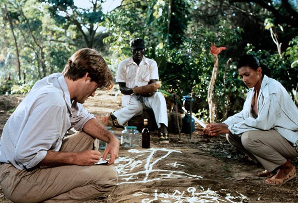 ゾンビ伝説の画像