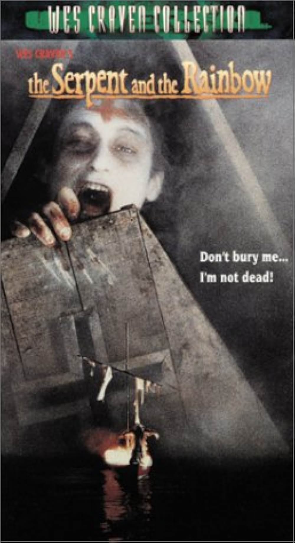 ゾンビ伝説の画像