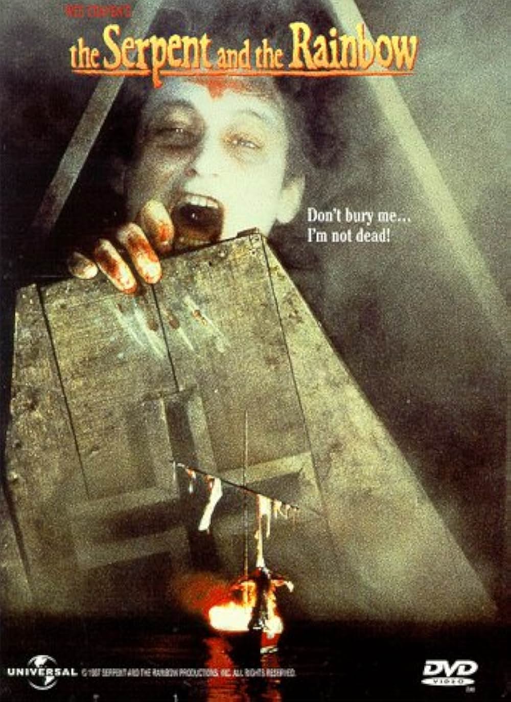 ゾンビ伝説の画像