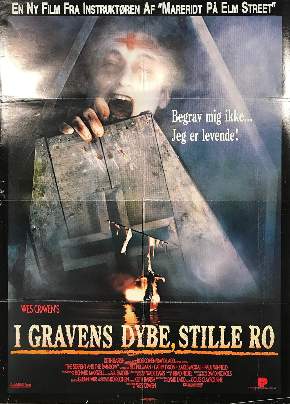 ゾンビ伝説の画像