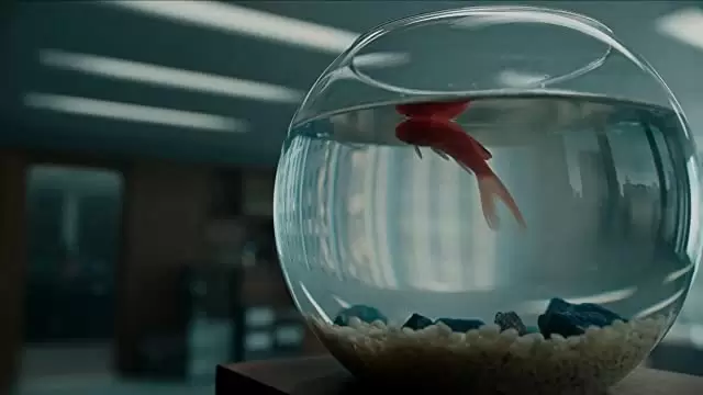 キュア ～禁断の隔離病棟～の画像