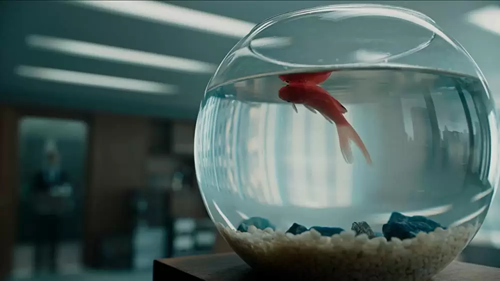 キュア ～禁断の隔離病棟～の画像