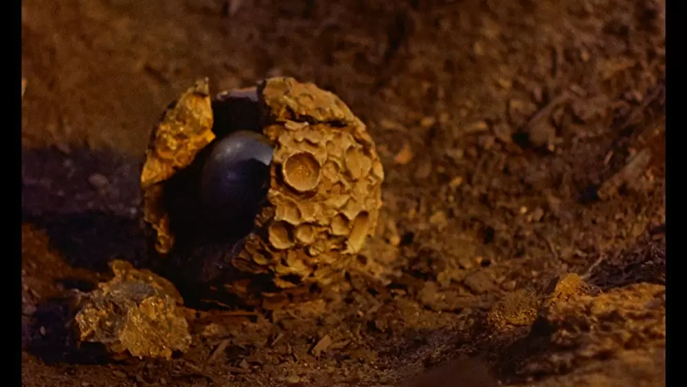 マックィーンの絶対の危機（ピンチ）の画像