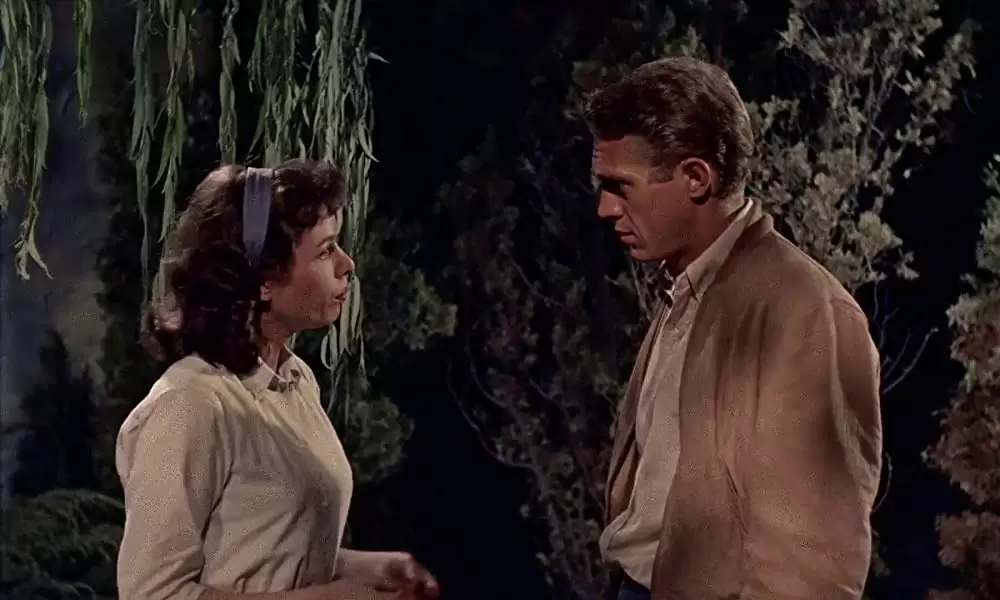 「マックィーンの絶対の危機（ピンチ）」スティーブ・マックィーン & Aneta Corsautの画像