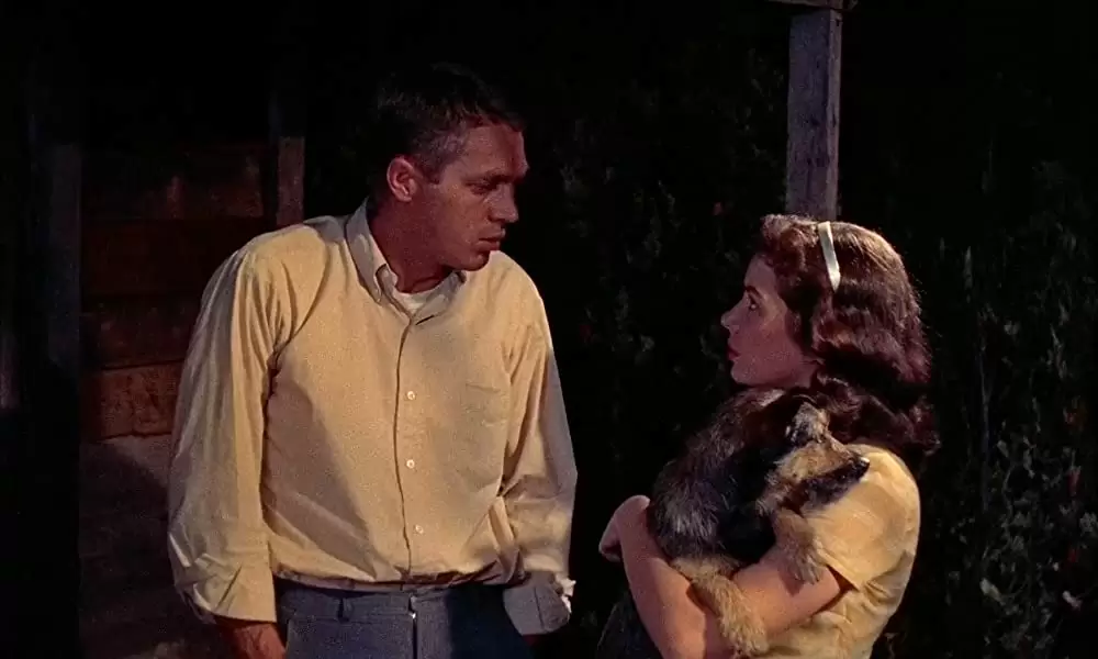 「マックィーンの絶対の危機（ピンチ）」スティーブ・マックィーン & Aneta Corsautの画像