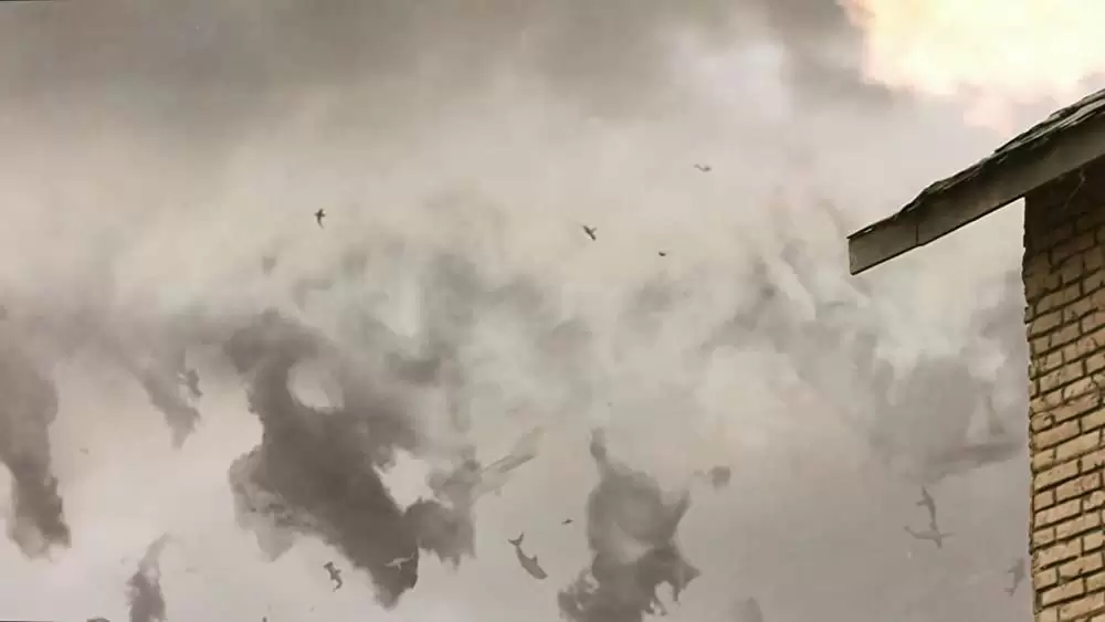 シャークネード ラスト・チェーンソー 4DXの画像