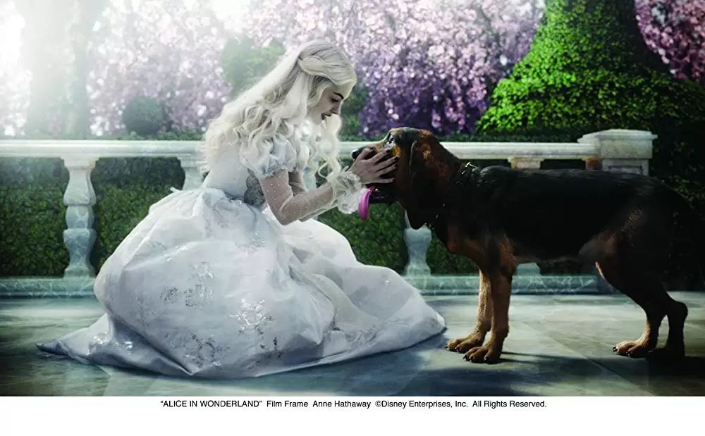 アリス・イン・ワンダーランドの画像