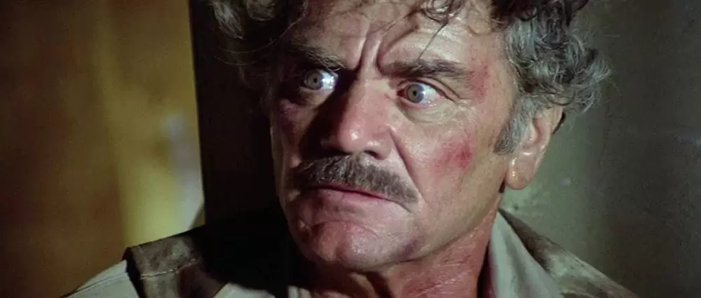 コンボイの画像