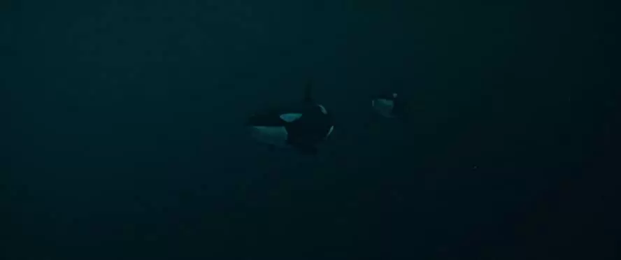 サイレント・ウォーターの画像