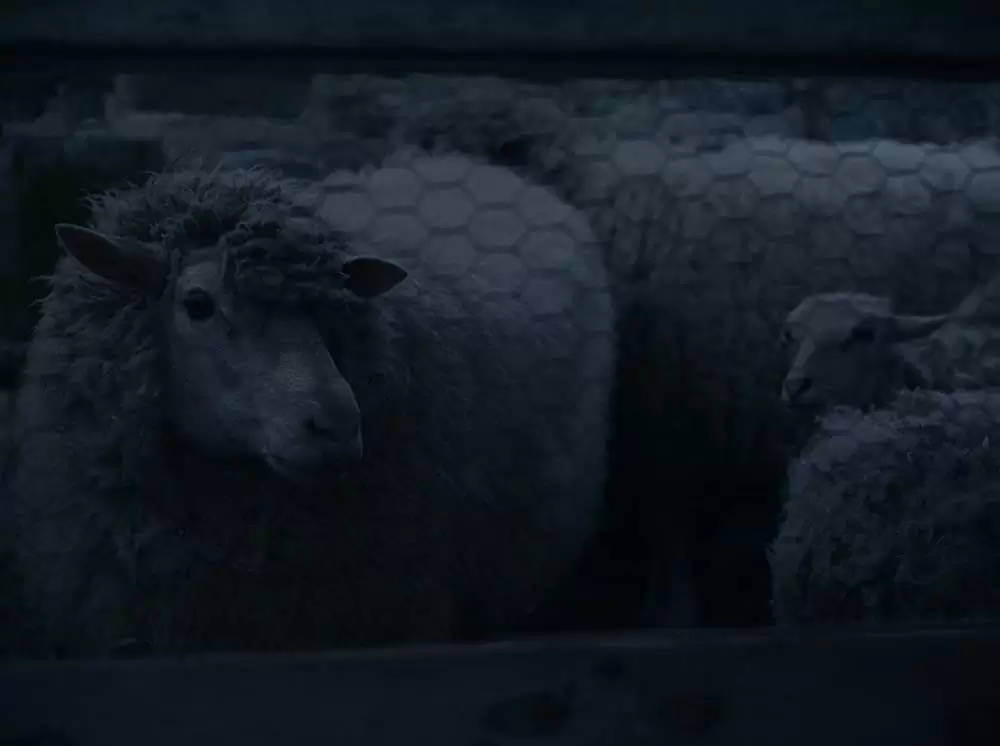 もう終わりにしよう。の画像