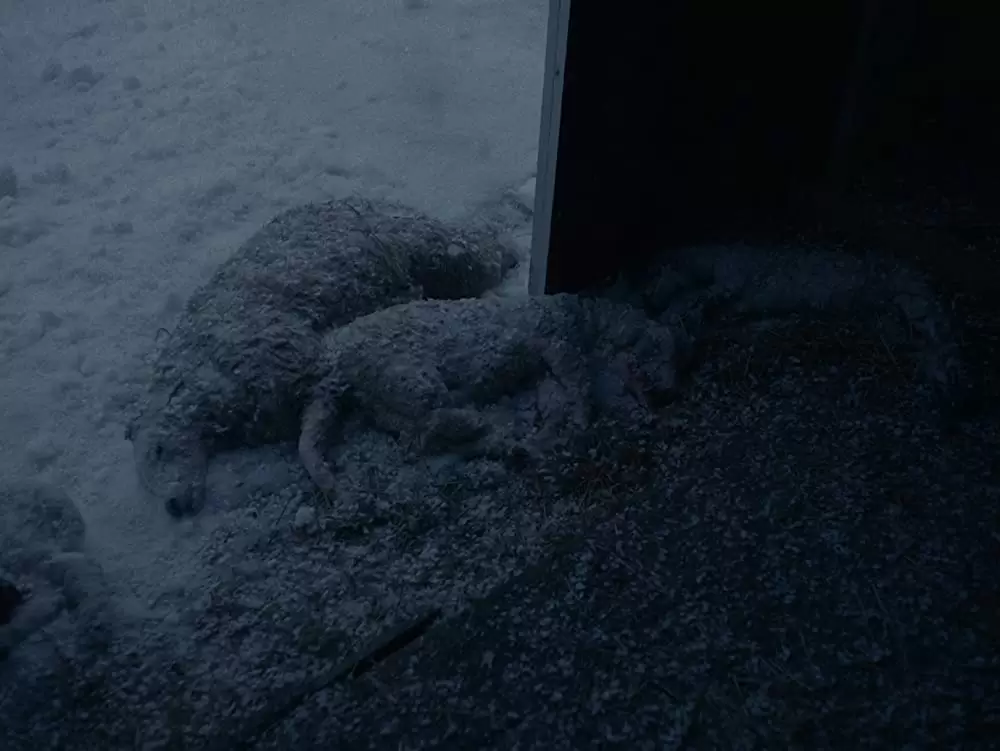 もう終わりにしよう。の画像