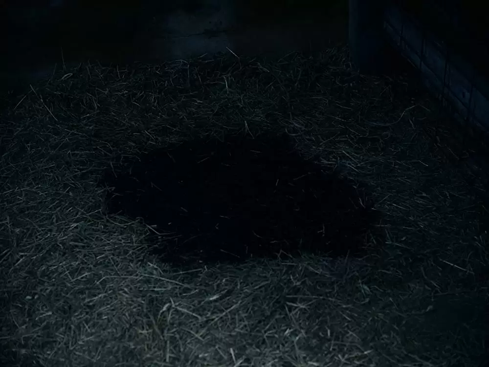 もう終わりにしよう。の画像