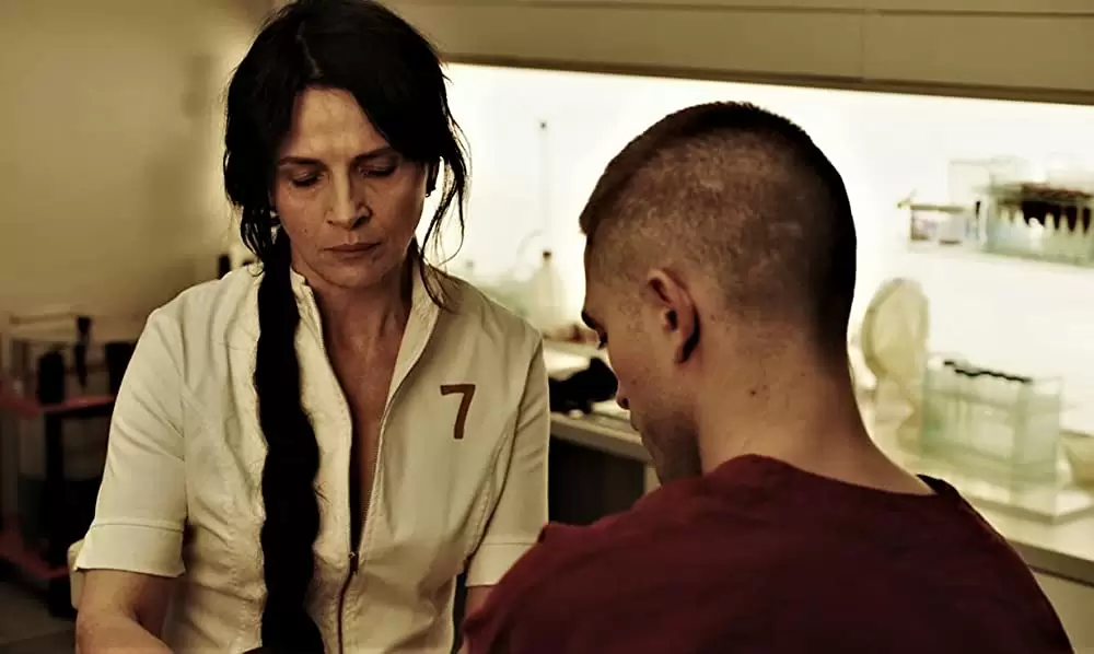 ハイ・ライフの画像