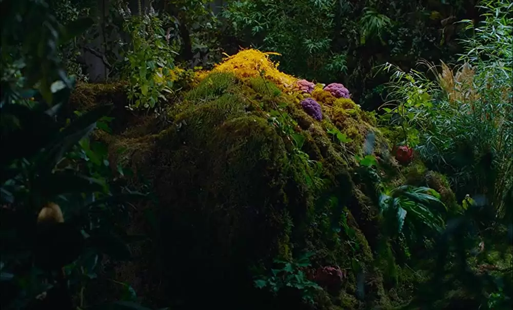 ハイ・ライフの画像