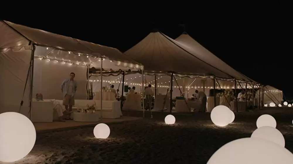 ウィザード・オブ・ライズ／嘘の天才 〜史上最大の金融詐欺〜の画像