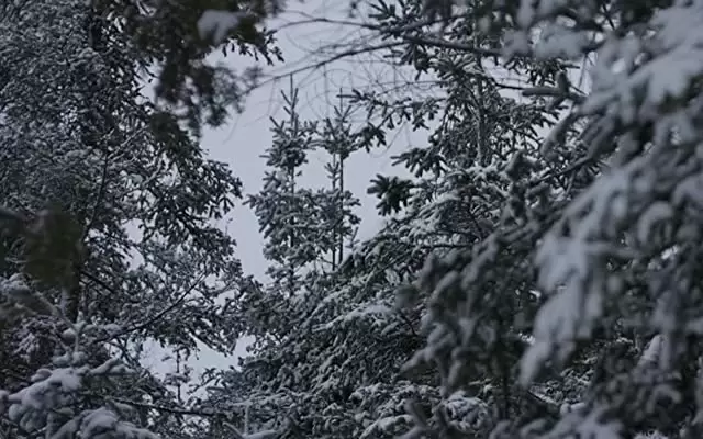 ウィンターストーム 雪山の悪夢の画像