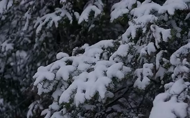 「ウィンターストーム 雪山の悪夢」の画像