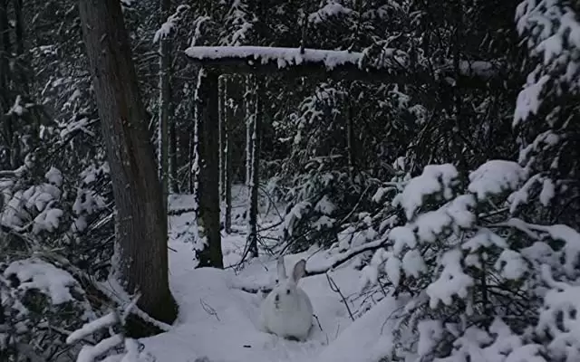ウィンターストーム 雪山の悪夢の画像