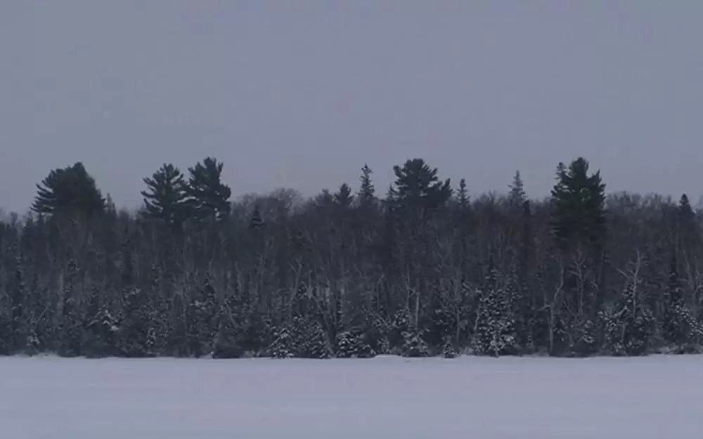 ウィンターストーム 雪山の悪夢の画像