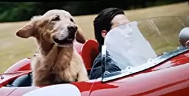 「エンツォ レーサーになりたかった犬とある家族の物語」マイロ・ビンティミリアの画像