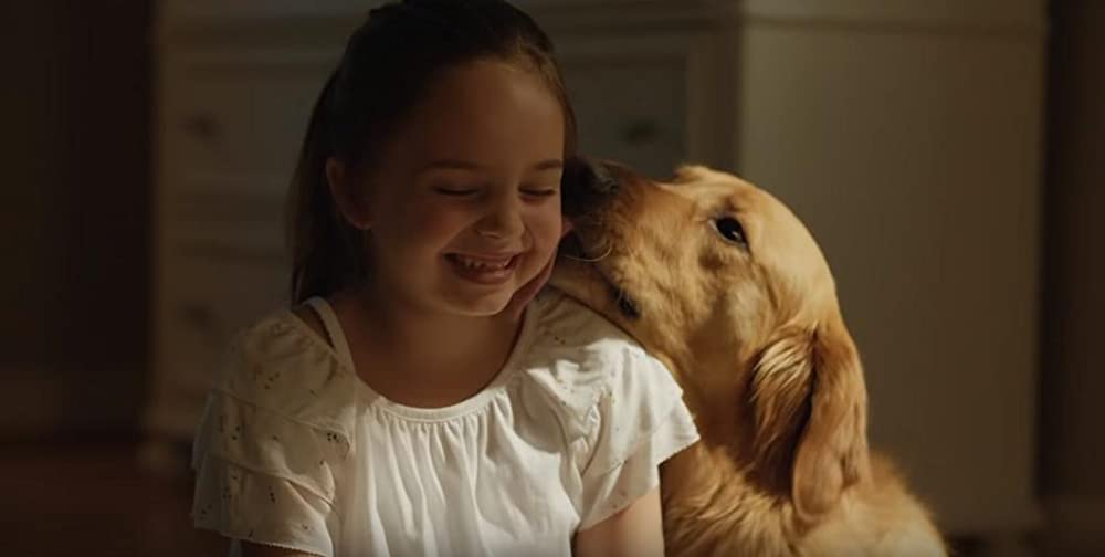 エンツォ レーサーになりたかった犬とある家族の物語の画像