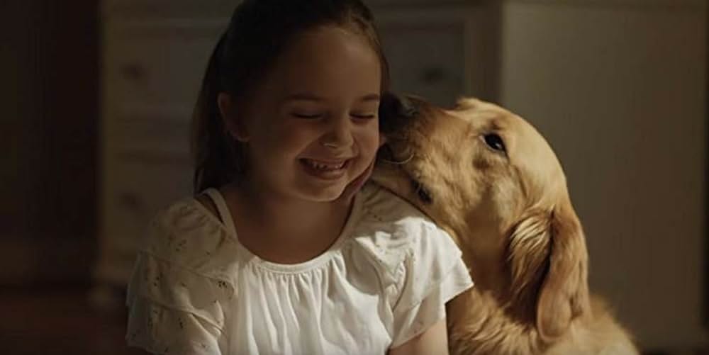 エンツォ レーサーになりたかった犬とある家族の物語の画像