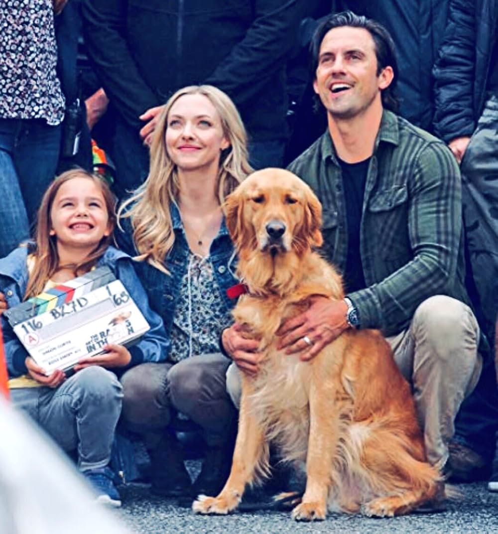 エンツォ レーサーになりたかった犬とある家族の物語の画像