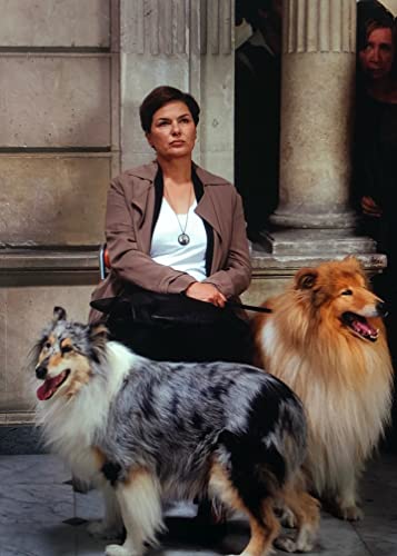 未来を乗り換えた男の画像