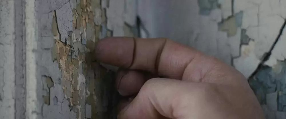 デッド・オア・ラン／二重逃亡の画像