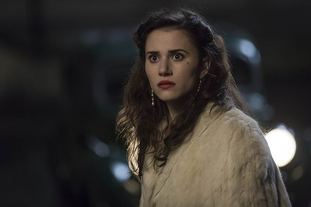 ナチスの愛したフェルメールの画像