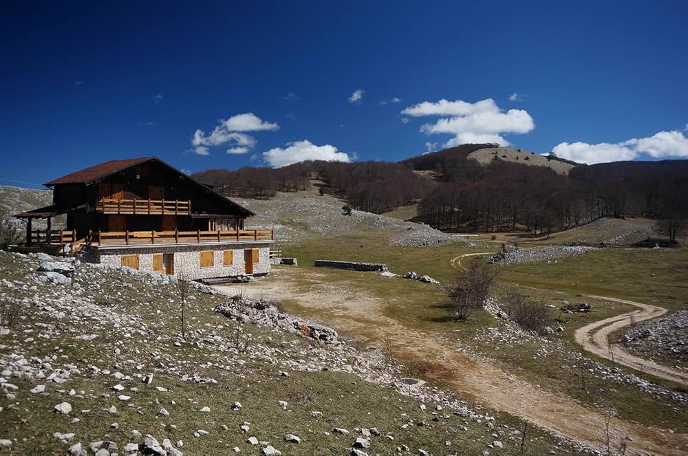 ブラック・バタフライの画像