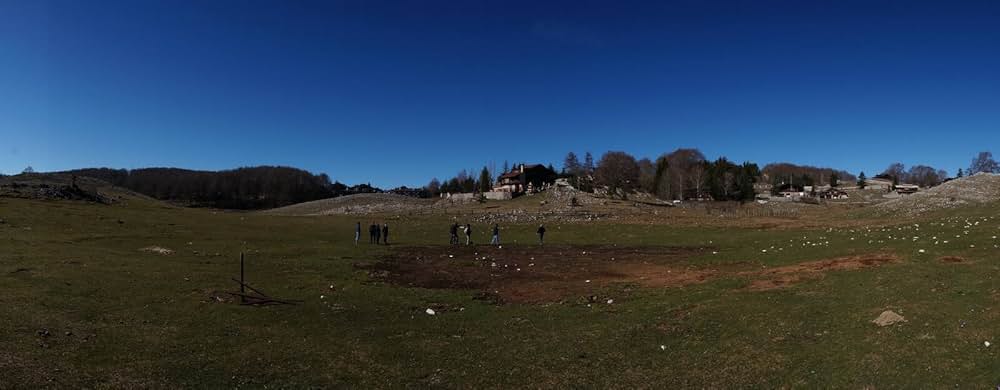 ブラック・バタフライの画像