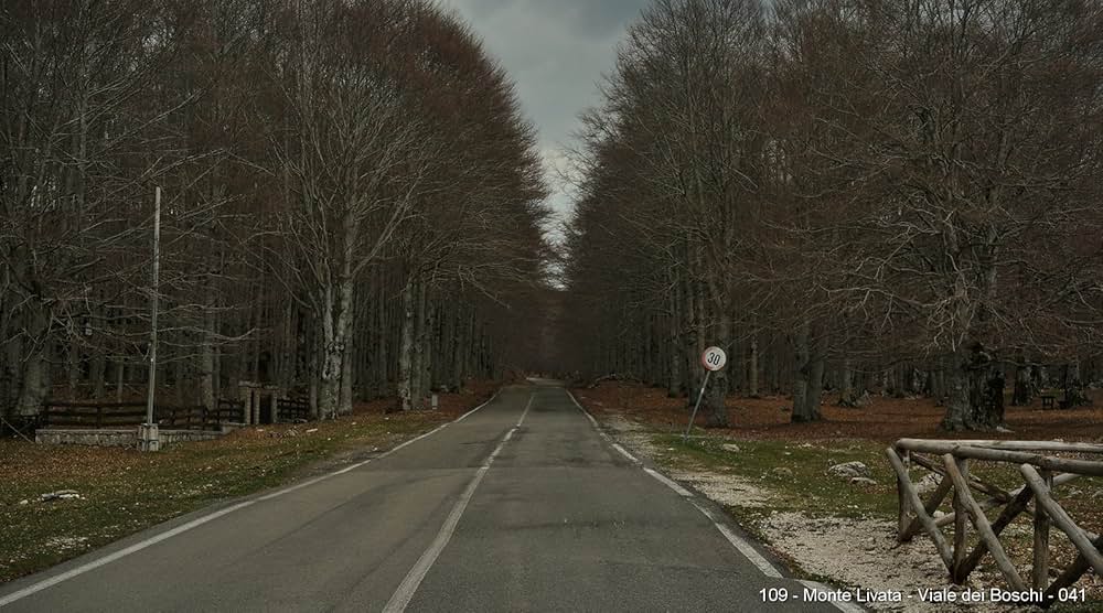 ブラック・バタフライの画像