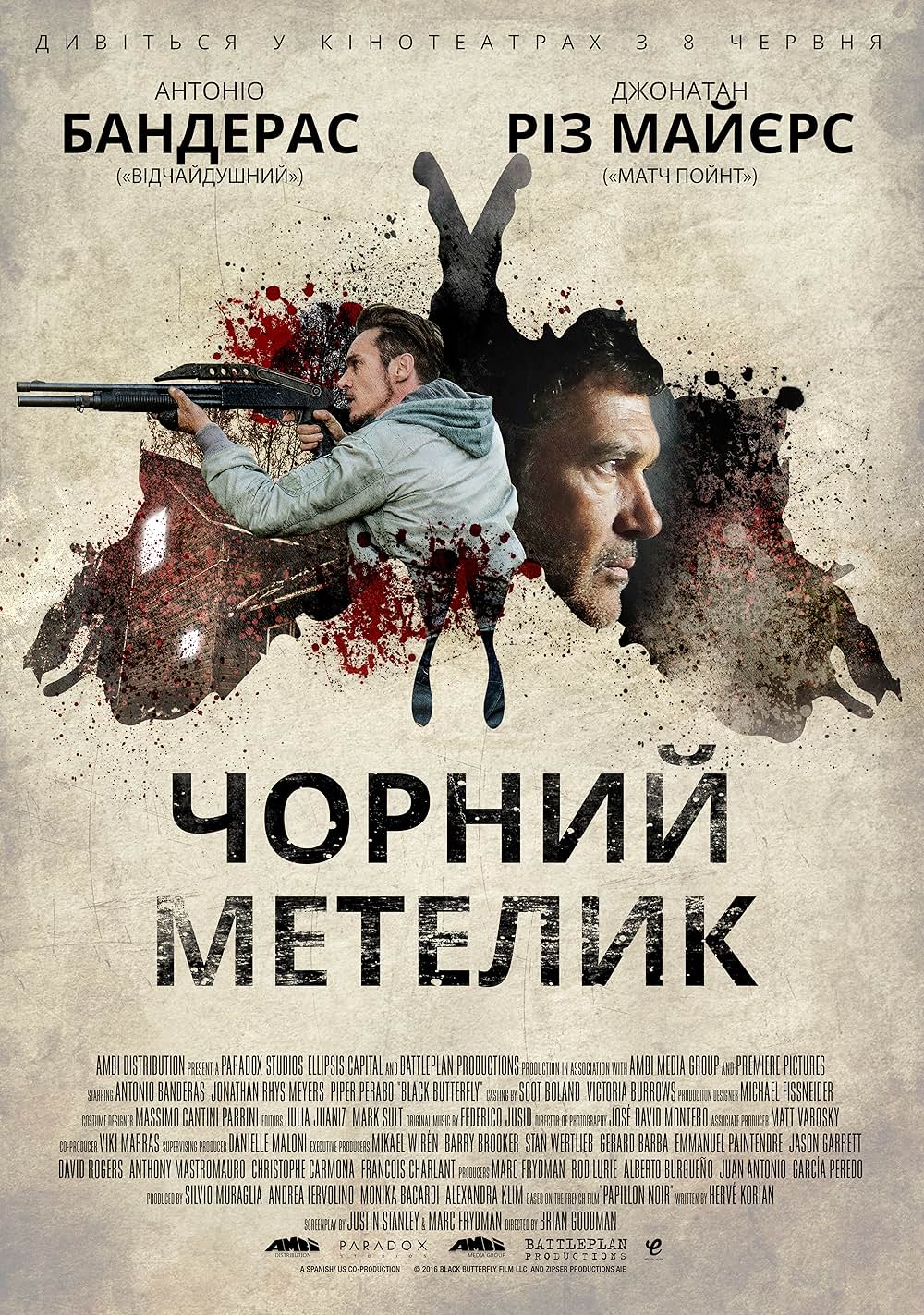 ブラック・バタフライの画像