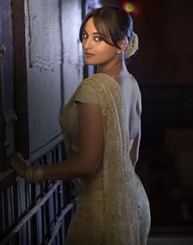 ダバング 大胆不敵の画像